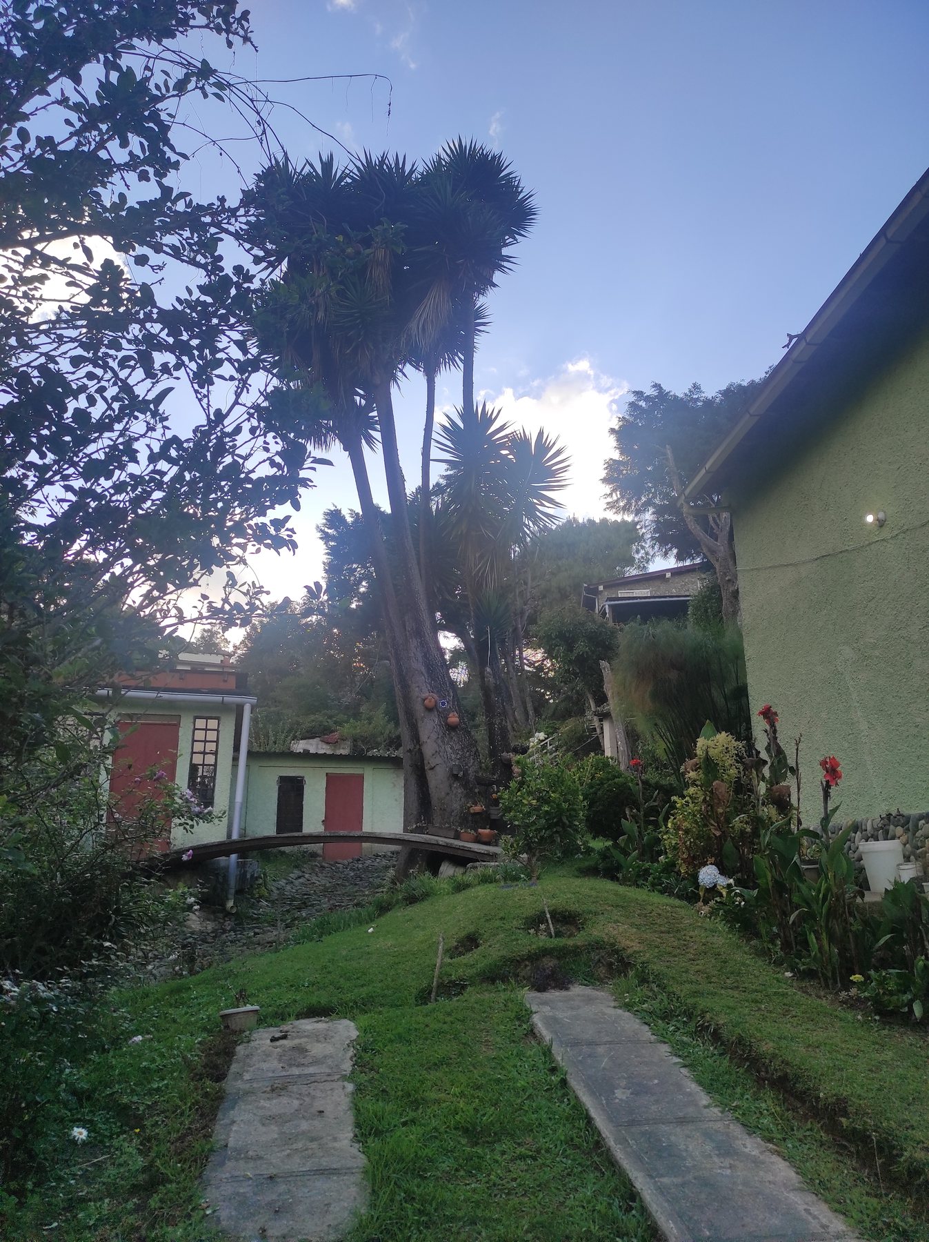 Jardin y rincones verdes alrededor de Posada Otilia